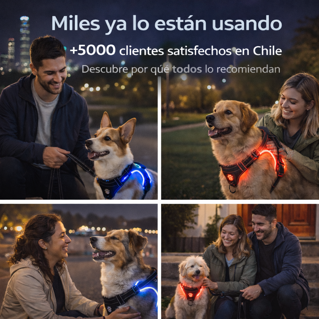 Centinela 360™ Arnés LED Antitirón
