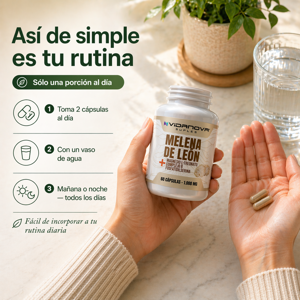 Melena de León Fortificada — Claridad Mental y Energía Natural