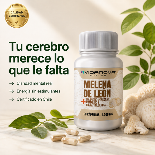Melena de León Fortificada — Claridad Mental y Energía Natural