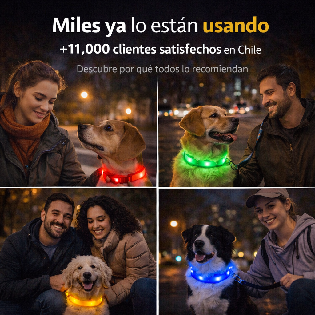 LumiPet™ – Collar LED Recargable para Mascotas